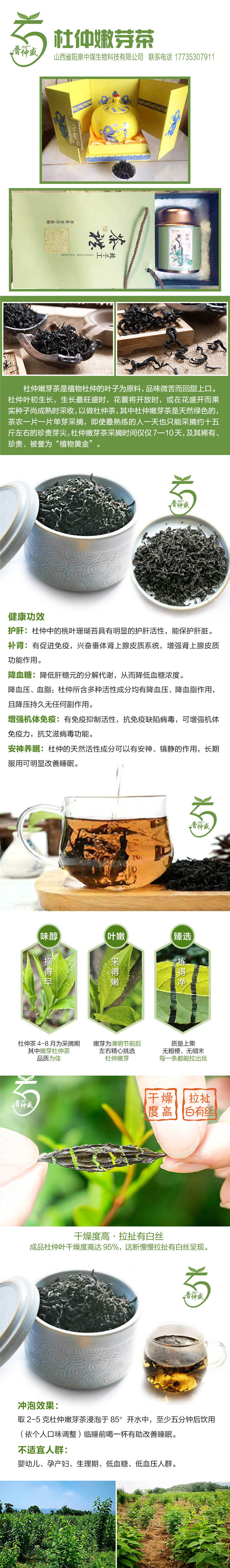 杜仲茶.jpg